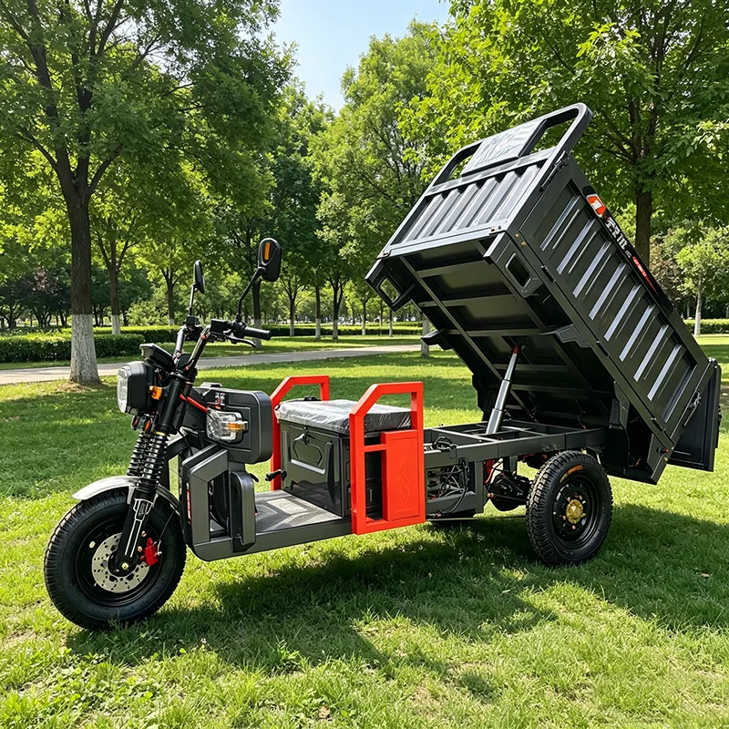 

Portable Electric Freight Tricycle Three Wheel Electric Cargo Bike