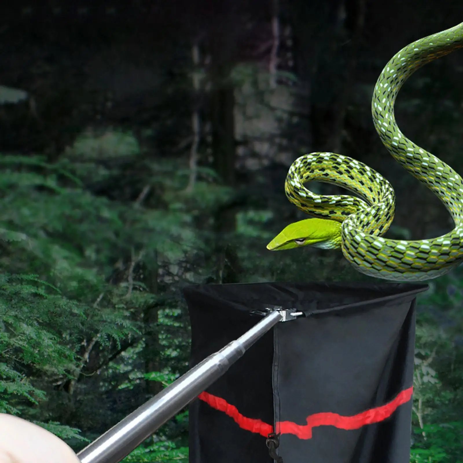 

Сетка для ловли змей, инструмент для захвата гремучей змеи, портативный телескопический инструмент для обработки палочек для безопасного транспортировки, перемещения, ежедневного использования