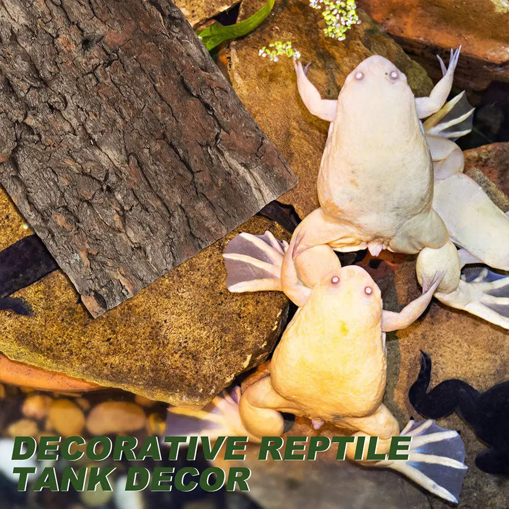2 Stück Terrarium-Korkrinden-Dekoration, Reptilien-Terrarium-Dekorationen, Hintergrundrinden für Eidechsen und Schlangen, natürliche Kletterstruktur – Detail 6