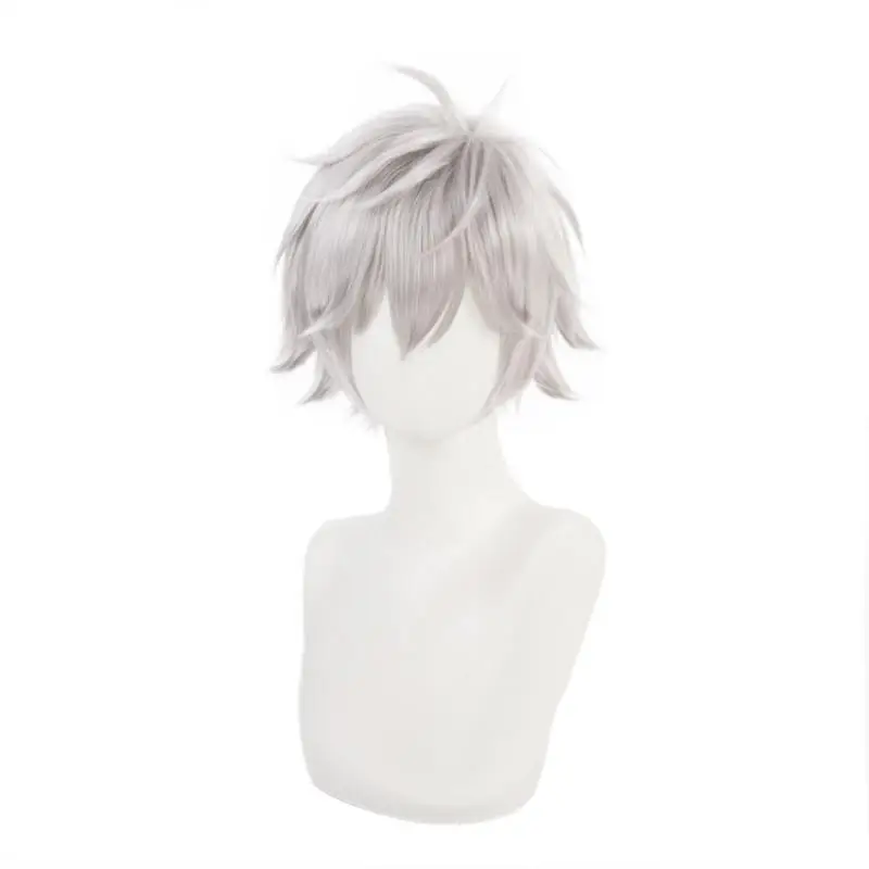 Anime Eva Nagisa Kaworu Cosplay Wig Silver Gray Short Hair Heat Resistant Synthetic Halloween Party Accessories Props