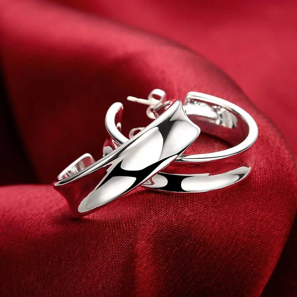 

Hot charms Silver Pretty stud earrings for woman Fashion brands Christmas Gifts Street all-match Jewelry