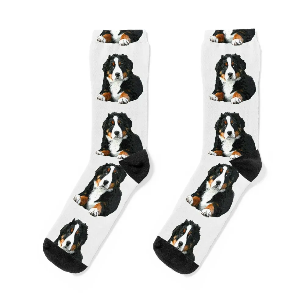 

Bernese Mountain Dog Pup! Socks Thermal man winter Hiking boots happy winter Socks Girl Men's