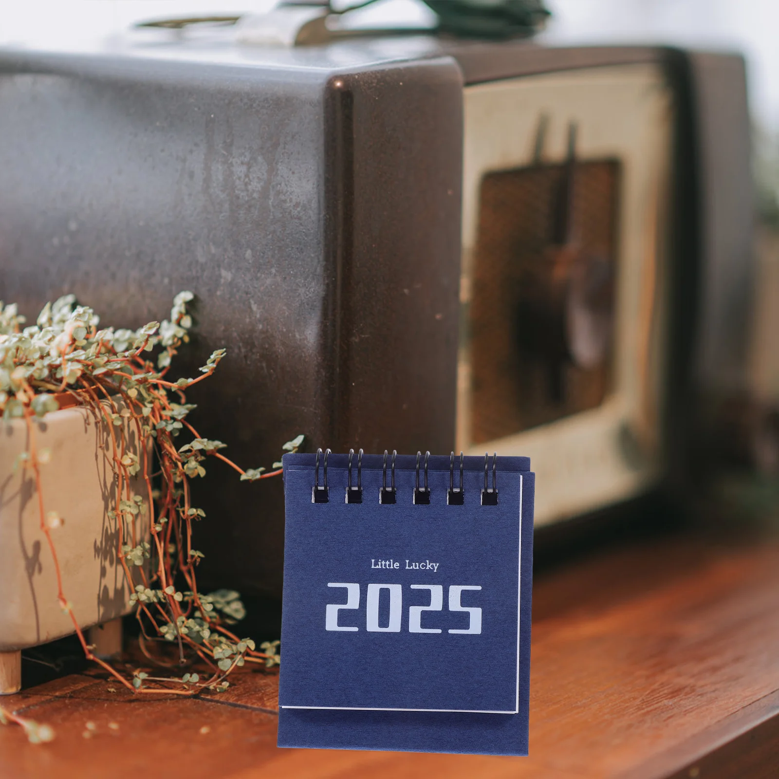 Mini Desk Stand Calendar Home Decor Simple Little Flip for Classroom Creative Coil