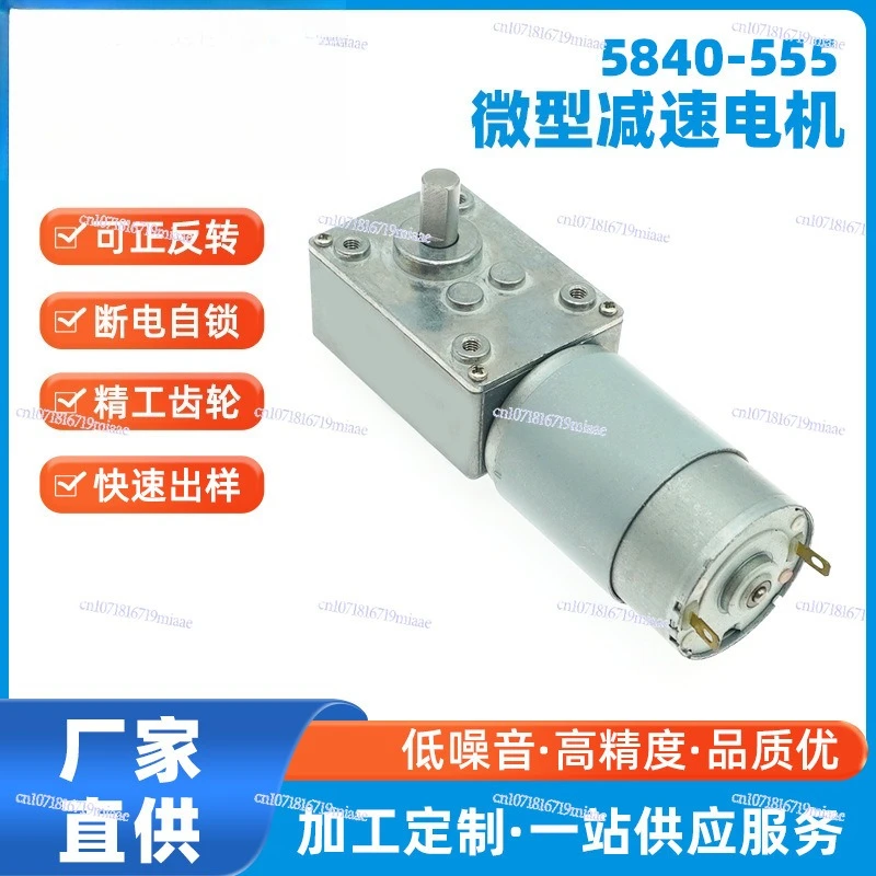 5840-555 Micro DC Motor High Torque DC Gear Motor Turbo Worm Gear Motor Manufacturer