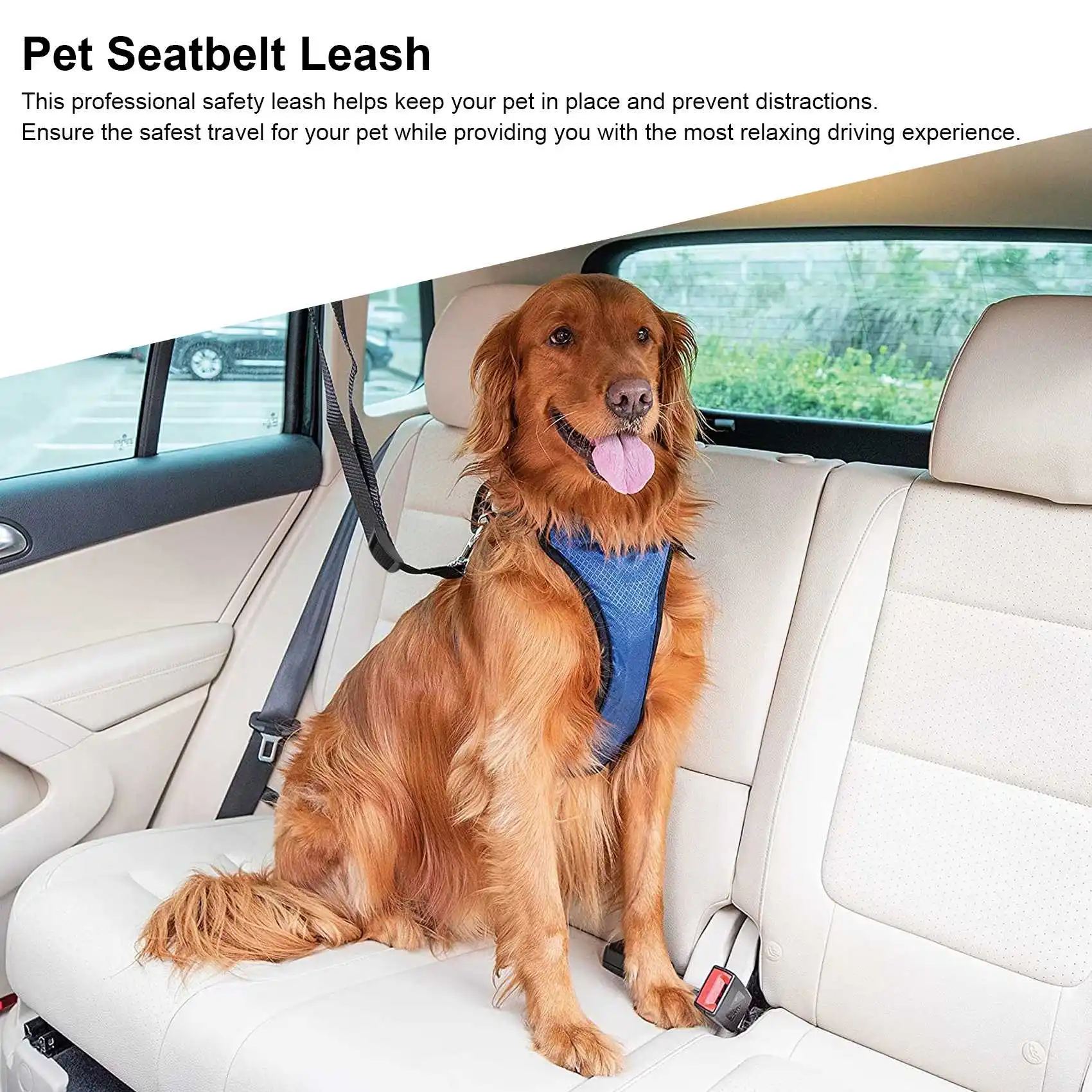 HIM-Dog Cat Pet Safety قابل للتعديل مقعد السيارة حزام لربط الحيوانات الأليفة المقود السفر كليب حزام الرصاص