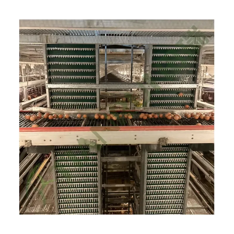 Automatic Hot Dip Galvanized Steel Battery Cage for Laying Hens 5000 Birds H Frame Multi-Tier Egg Layer Chicken Cage