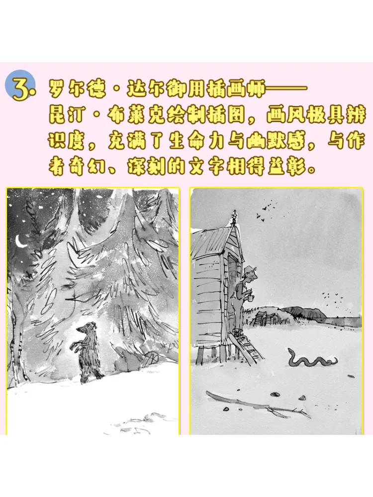 Book-Winshare Winter Wanderer Primary School Chinese Language Synchronized Reading Series