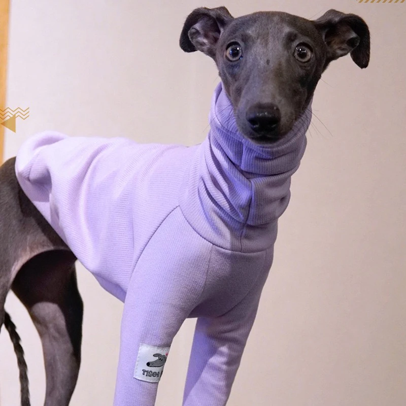 Fashion Italian Greyhound 2-legged Purple Clothes Soft Stretchy Whippet Clothing Autumn Winter Warm Cotton Dog Pajamas