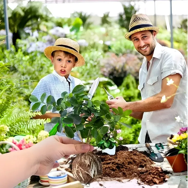 كرة تأصيل النباتات، طبقات الهواء، قطع القطع، علبة تنمو لشجرة الفاكهة، بوتينج عصاري، ركيزة، رعاية زرع داخلية #3