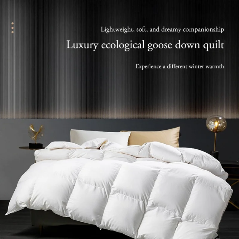 

95% down comforter, white goose down comforter, thick winter sheet, double spring and autumn comforter, warm duvet core