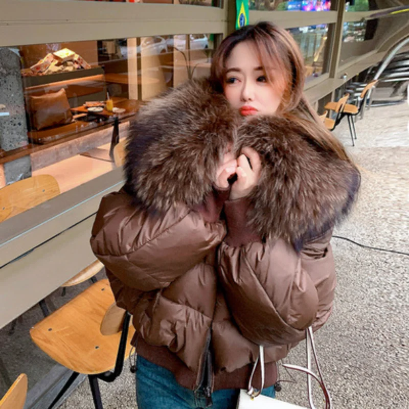 Women\'s Large Fur Collar Puffer Jacket, Winter Coat, Thick Warm Outerwear, Luxury High-end Snow Short Women\'s Down Jacket Female