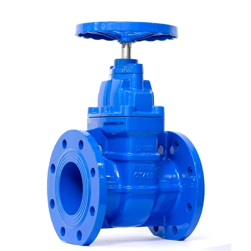 

Rising Stem Gate Valve Customizable Size Water Competitive Price Chinese Supplier