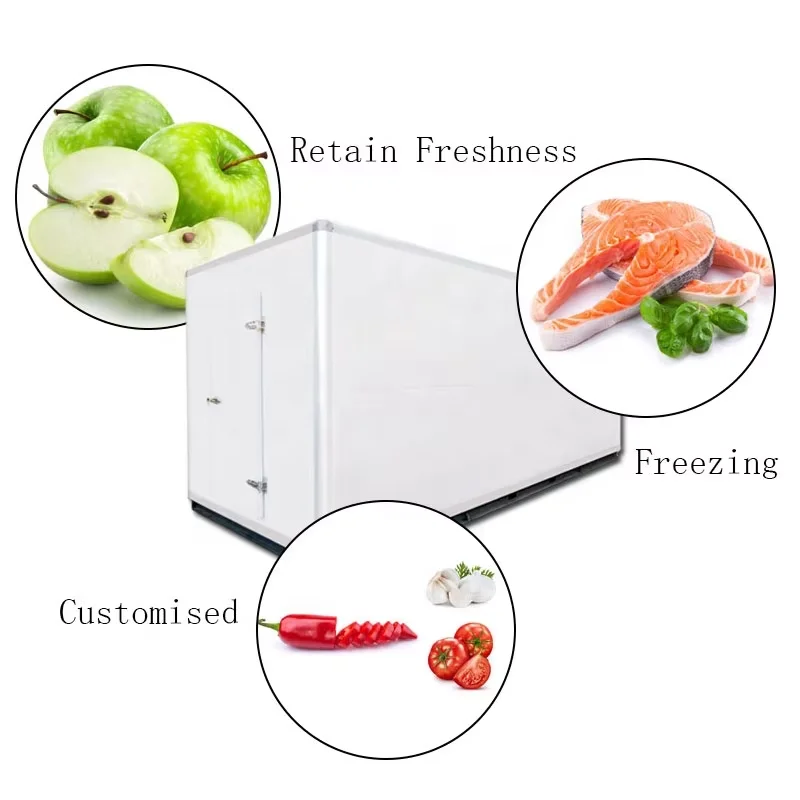 Small Modular Refrigeration Unit Cold Room for Frozen Meat Storage with Cold Room Door