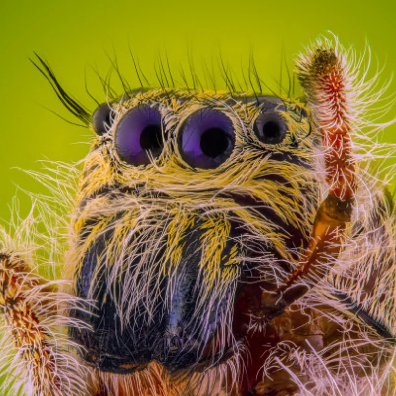 

104072-2132 2.4G Transmitter Remote Control For Wltoys 104072 144010 124007 124016 124017 RC Car Upgrades Parts Kit