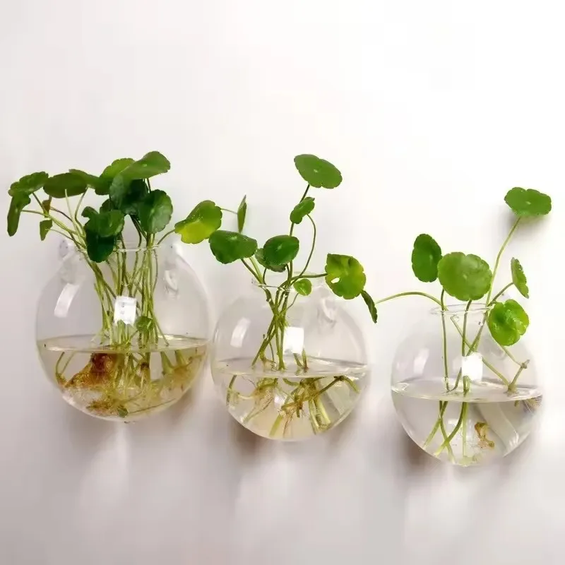 Wall Hanging Glass Plant Terrarium Container Propagation Station Wall-Mounted Flower Vases Air Plant Terrarium Home Office Decor