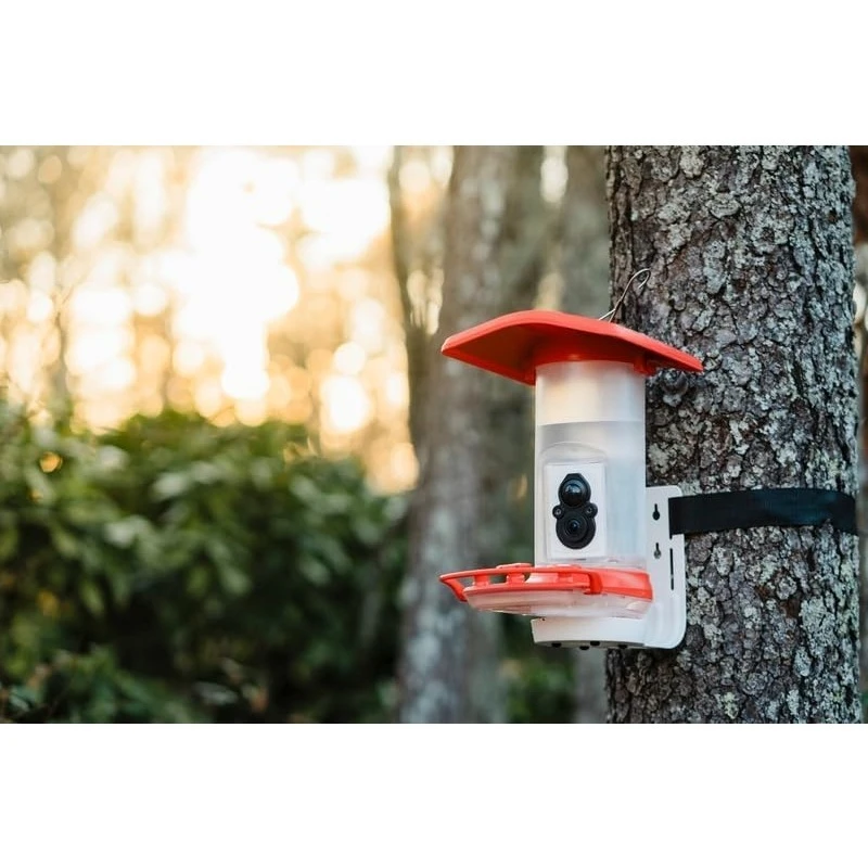 وحدة تغذية الطيور الطنانة الذكية: معرف الطيور الذاتي، واي فاي، الطاقة الشمسية، صور ومقاطع عالية الدقة مذهلة يتم إرسالها مباشرة إلى هاتفك،