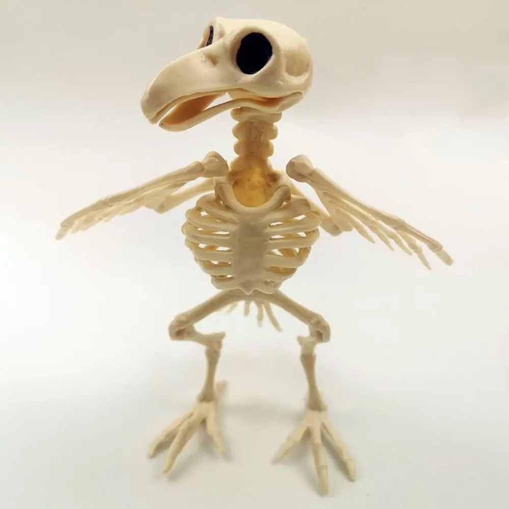 Crazy Bone Skeleton Raven Plastic Animal Skeleton Bones Horror Halloween Decoration Halloween Prop Bird Crow Skeleton Decoration