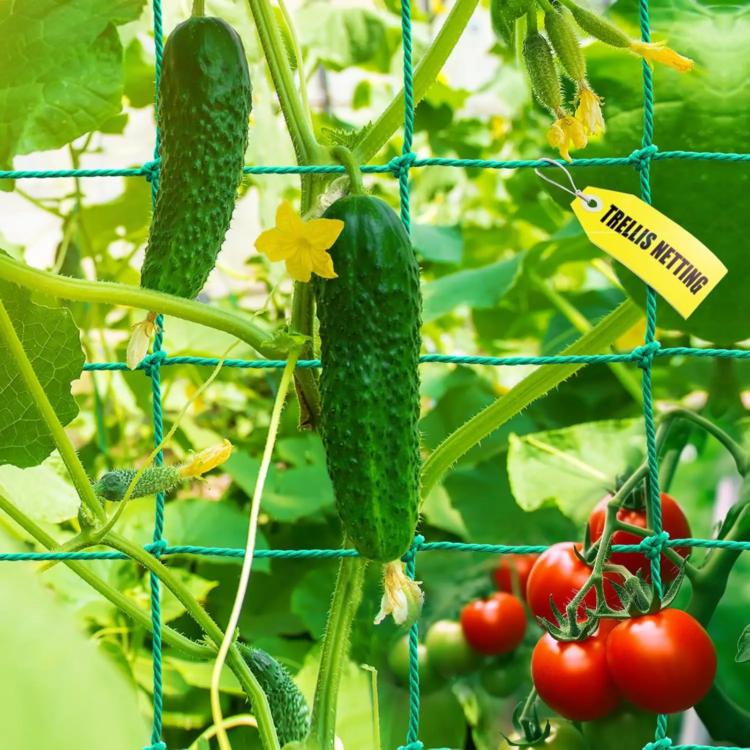 Heavy Duty Trellis Netting for Climbing Plants, 16.5x6.6Ft with 4x4 IN Mesh, Supports Cucumber Tomato Vine Fruits Vegetables