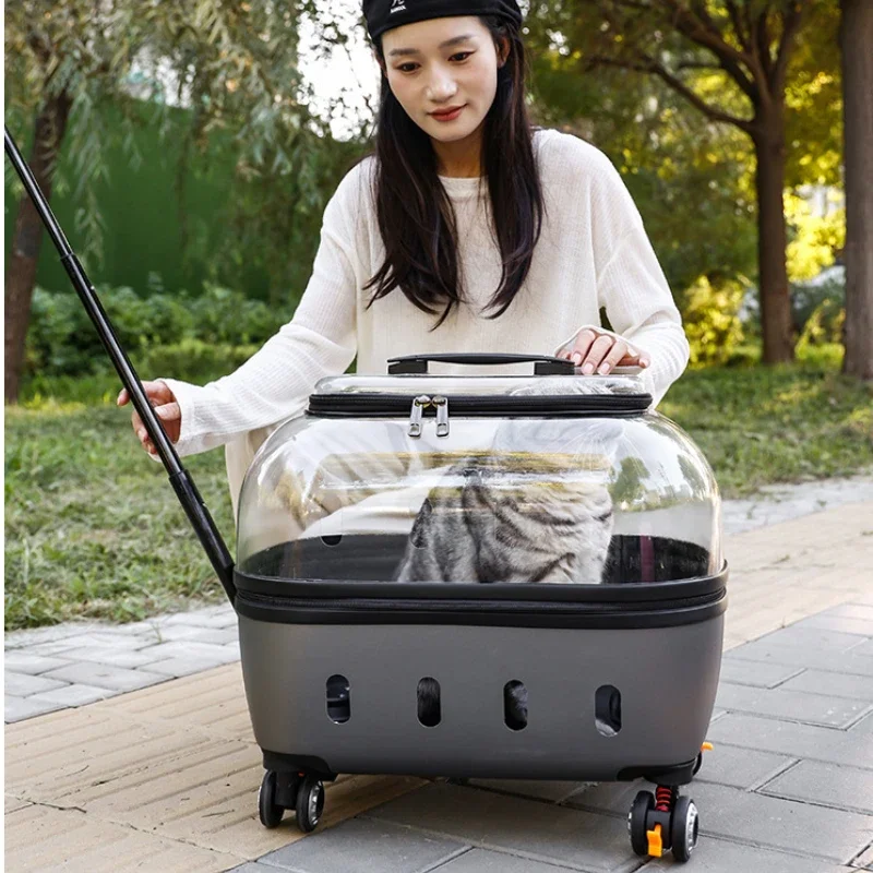 Thumbnail 4 - #27 Popular Pet Strollers Choices