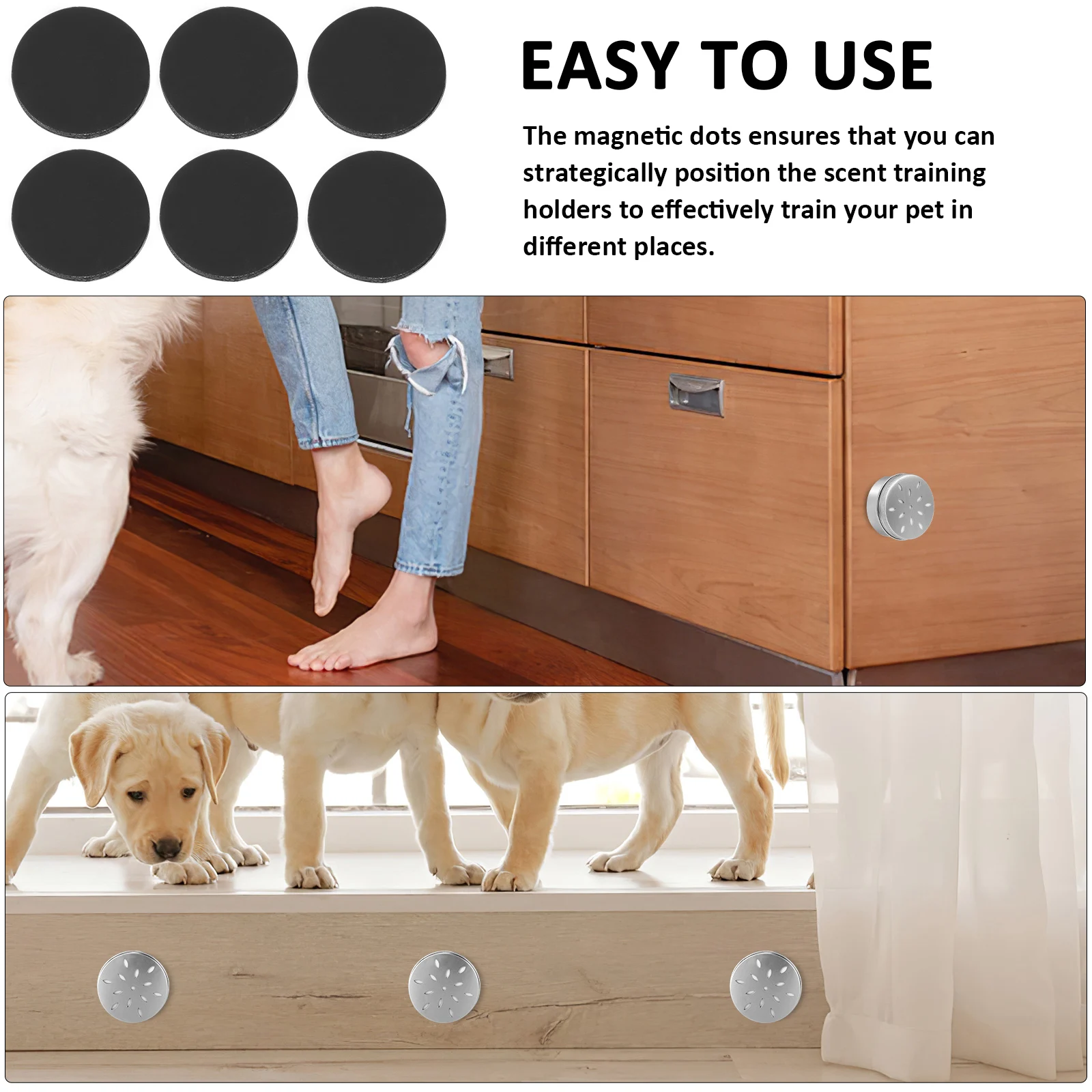 

1 set Scent Training Box Magnetic Dots Metal Tin For Dogs Outdoor Indoor Use Portable Odor Detection Kit Dog Agility Training