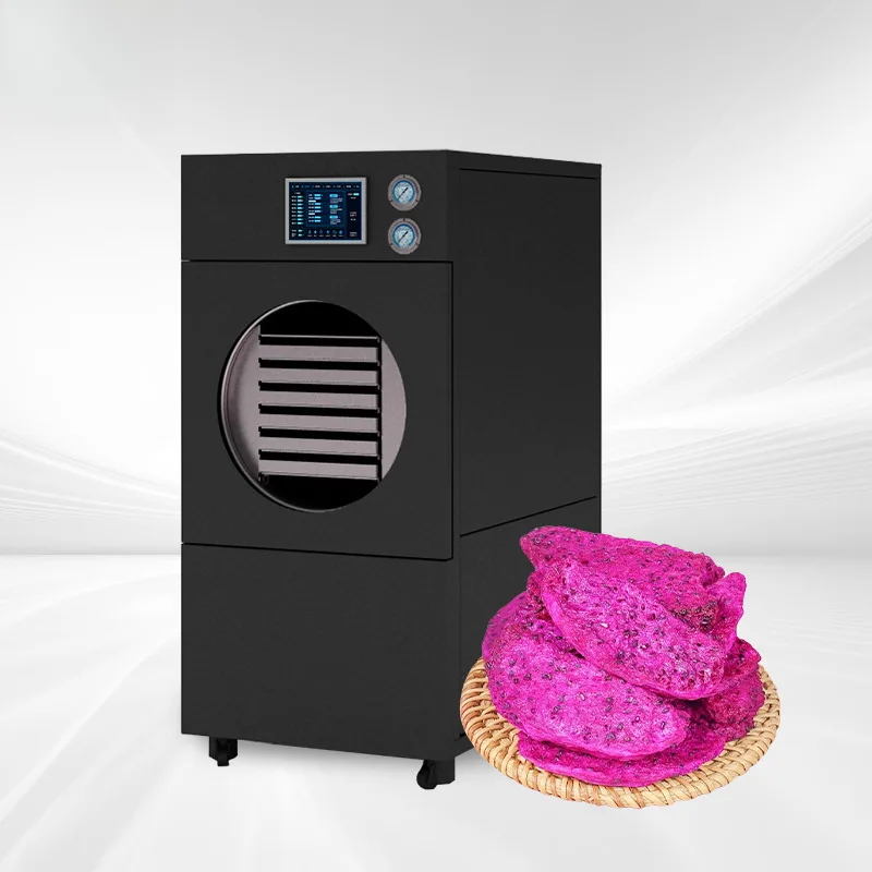 

20kg Small Industrial Freeze Dryer Cordyceps Fruit Liquid Commercial Drying Machine