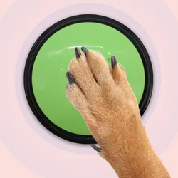 Juguetes grabables y botones parlantes portátiles para perros – Viajes