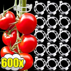 600-10x Reusable Plant Clips Supports Vine Tomato Stem Grafting Clips Vegetable Plants Orchard Garden Help Plants Grow Wholesale