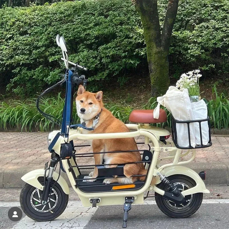 

CHKJ minibi electric scooter for dog ani bicycle with pet seat