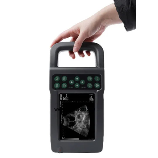 Portable veterinary diagnostic equipment, ultrasonic scanner, for detection of farm pigs and sheep