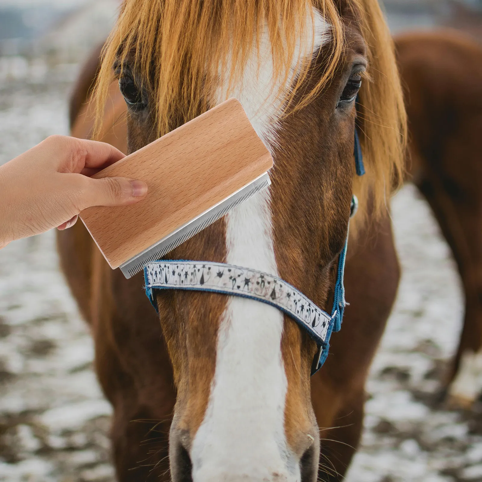 

Эргономичная щетка для удаления шерсти животных, многофункциональный инструмент для груминга и чистки лошадей, кошек, собак, для удаления подшерстка
