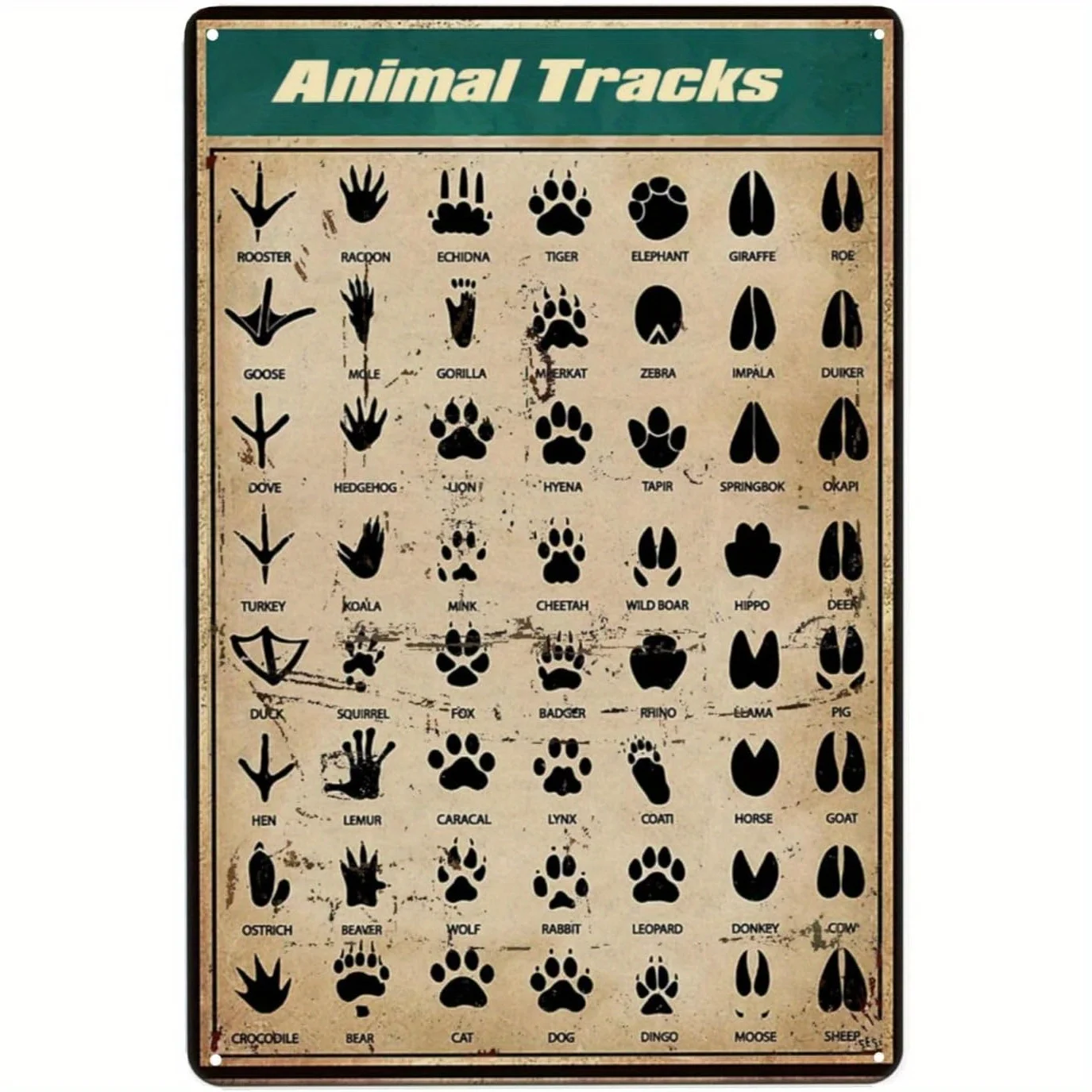 Vintage Wildlife pädagogisches Metallblechschild – Tierstrecken-Poster mit Bär, Wolf, Hirsch, Frosch, Schlange – robustes Eisen, rustikal D