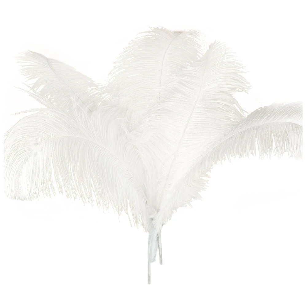 10 pcs Natural Ostrich Feathers Wedding Party Decoration White