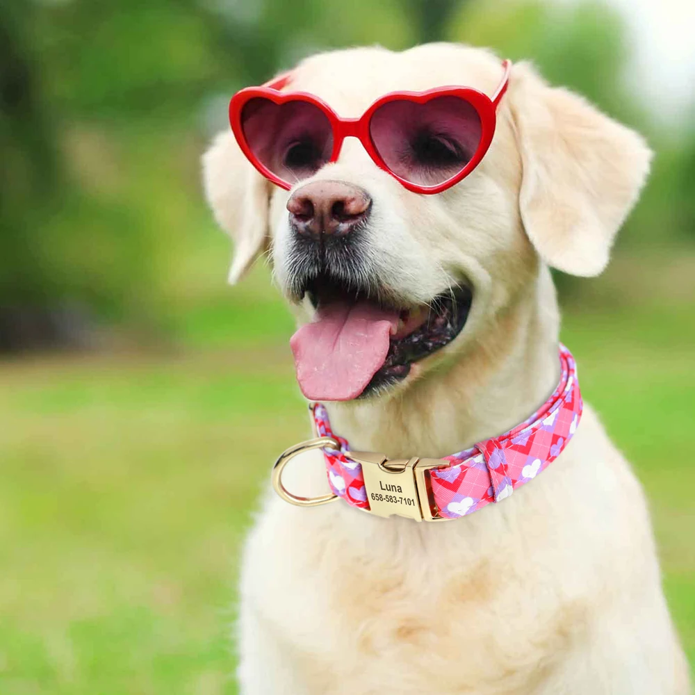 Collier de chien en nylon imprimé personnalisé avec nom et numéro de téléphone, gravure gratuite