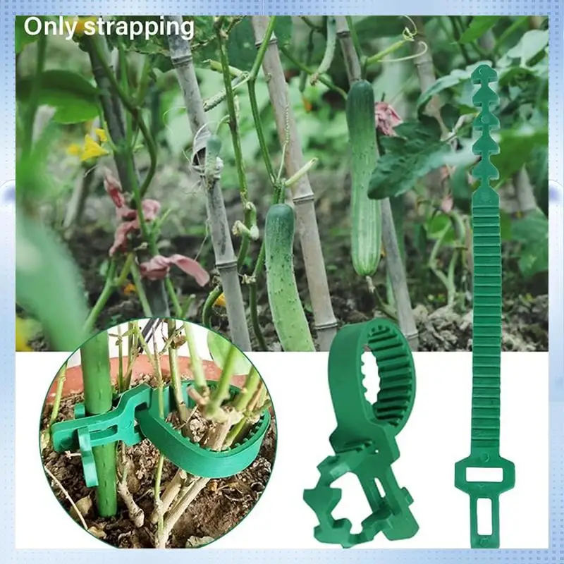 AD-24Pcs Stump Support Straps, Garden Stake Connectors, Tree Straps For Stakes, Tree Support Straps For Stumps