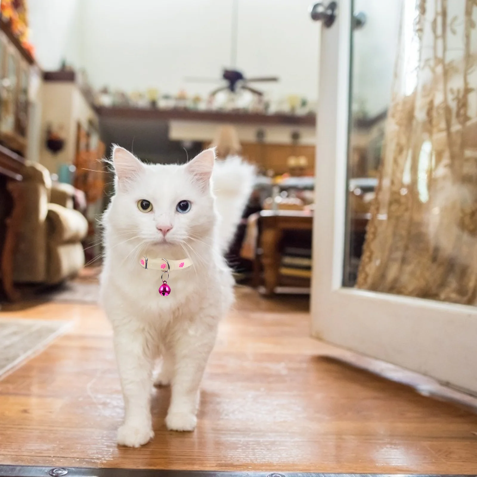 

3pcs Fluorescent Pet Collar Silicone Cat Puppy Night Anti-Lost Collar For Small Dogs Chic Comfortable Daily Wear Party Photo