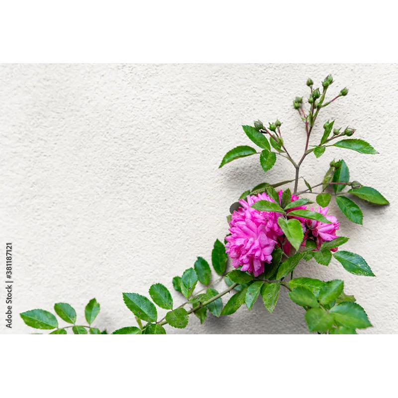 Sheng Yong Bao Kunst Stoff Fotografie Hintergrund simuliert Blumen und Holzbrett Fotografie Studio Hintergrund WYY-19