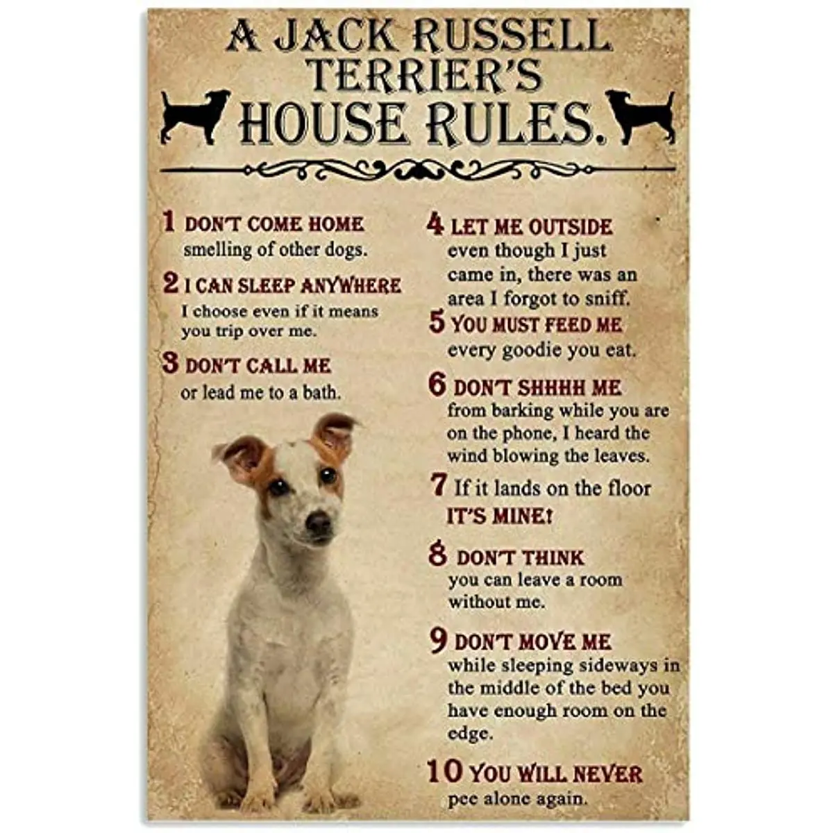 Vintage Metal Sign A Jack Russell Terrier\'s House Rules Tin Sign for Bar Cafe Club Wall Decoration Plaque  Art Iron Painting