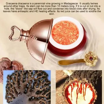 龍血乳霜視黃醇胎盤精華亮白提拉緊緻護膚韓國化妝品 10 最佳銷售 韓式奶油 - №4