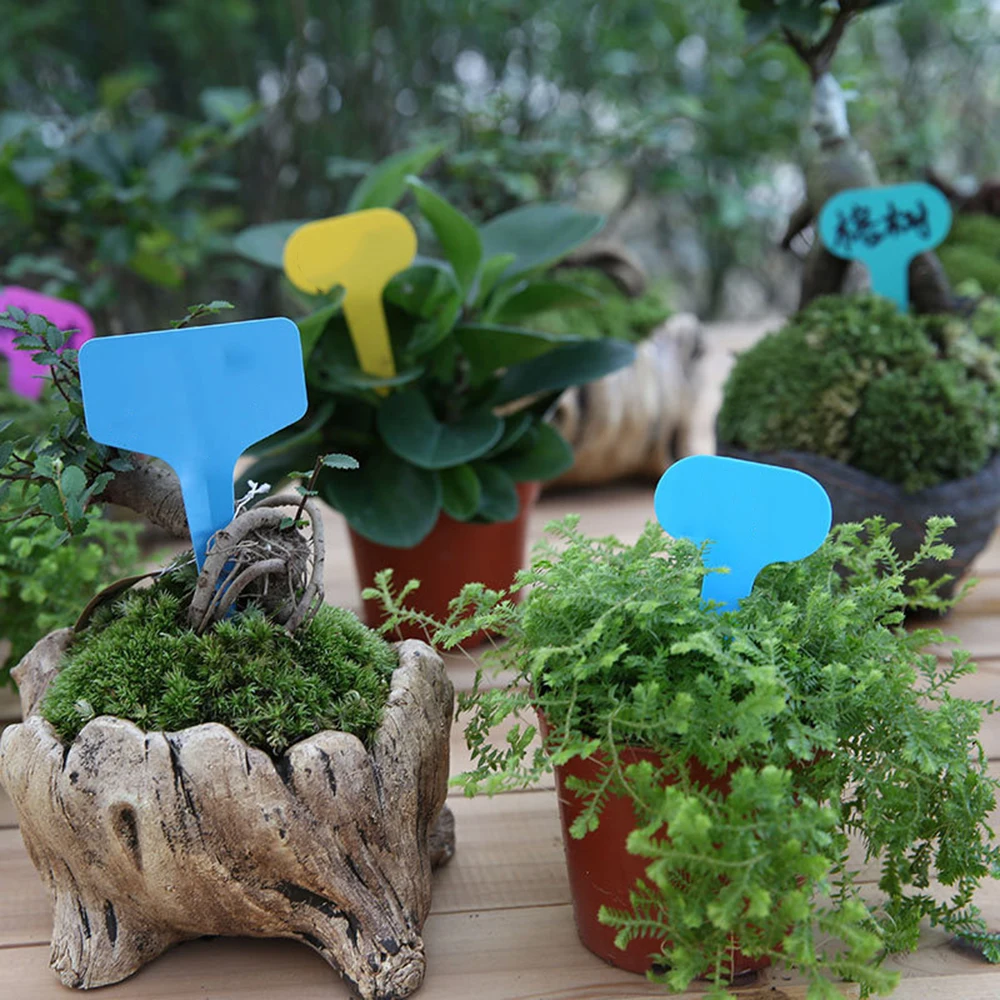 100 Etichette da Giardino, Tar - Embroidery Writing recensione e prezzo