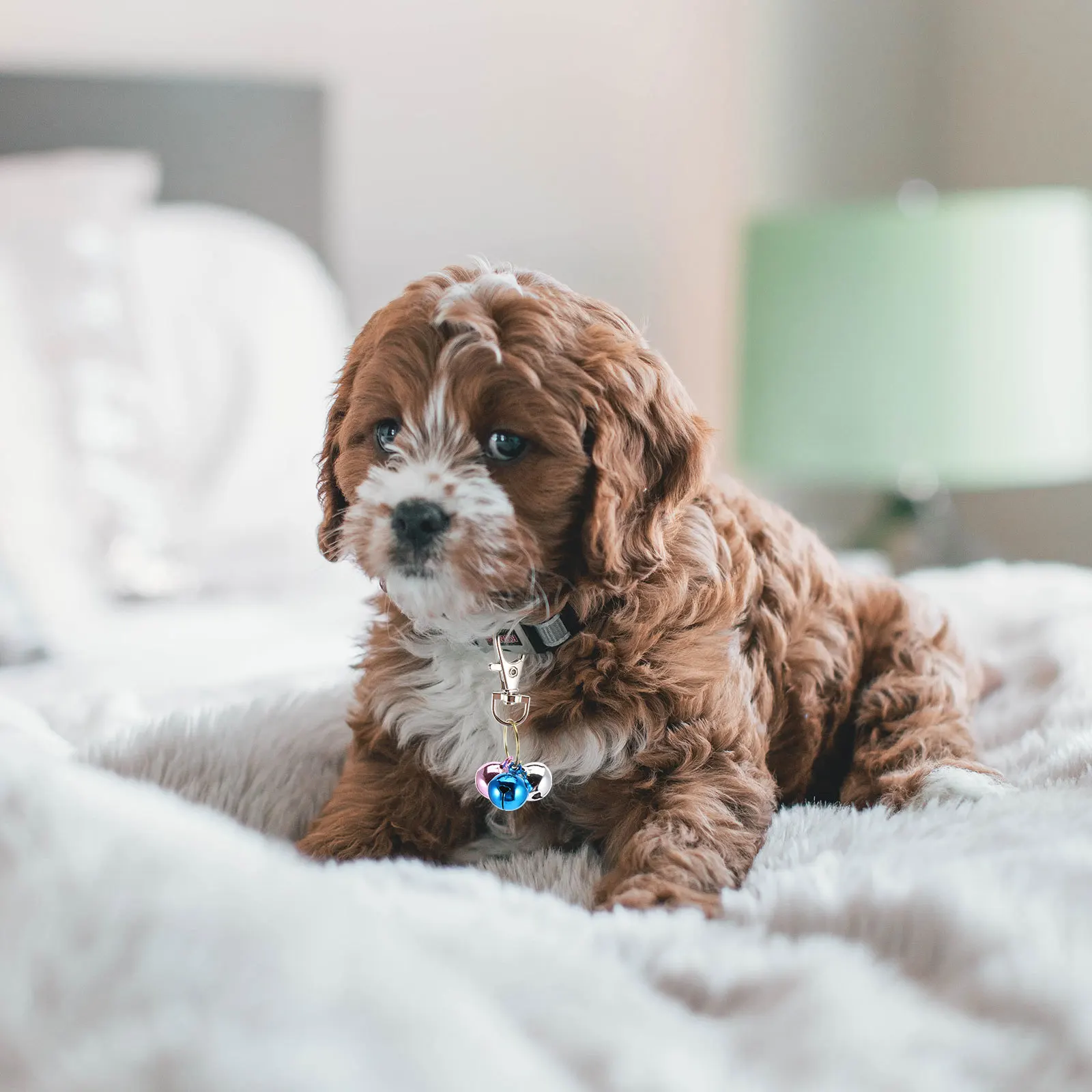 

4pcs Cat Collar Bells High-Quality Pet Pendant Bells For Small Cats Dogs Cute Noise Keychain Charm Accessories Pet Necklace