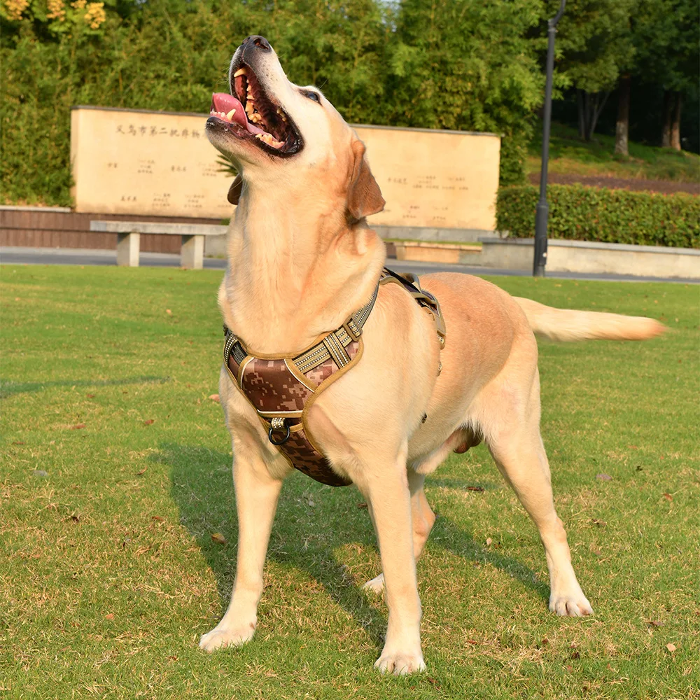 Taktisches Hundegeschirr für Hunde, Hundegeschirr mit 5 Hundeflicken, reflektierendes Haustiergeschirr, kein Ziehen, mit langlebigem, weich gepolstertem Griff – Detail 5