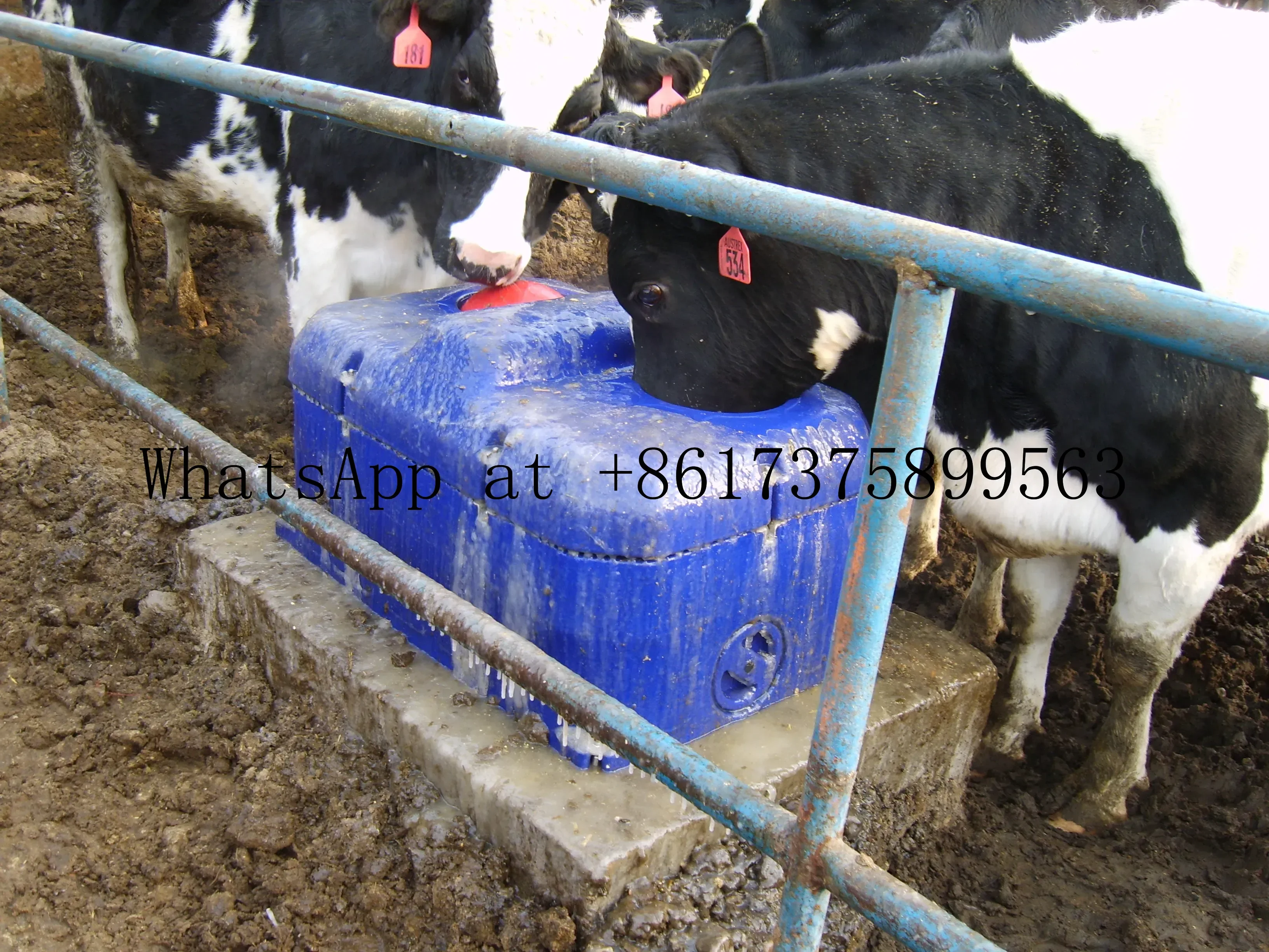 Long-Lasting tatic Drinking Bowl for Cattle Livestock