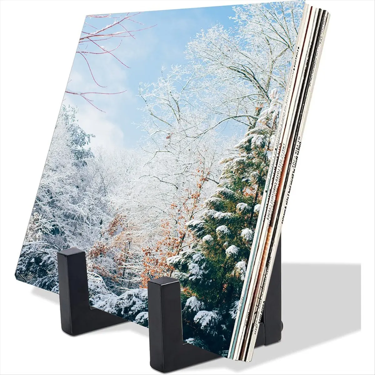 AT42 Record Stand Tabletop Metal Record Vinyl Holder Vinyl Record Storage Album Storage Rack for CD/LP Vinyl Record Supplie