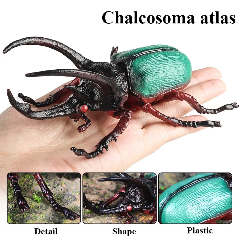 Oenux Insect Animals Model Figurine Butterfly Ant Dragonfly Spider Bee Mantis Scorpion Action Figures Educational Kid Toy Gift