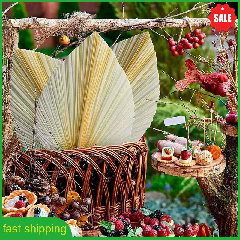 

A010 Large White Dried Palm Leaves - Premium Quality - 18 Pcs Elegant Modern Boho Home & Wedding Decor - Wall Art