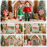 Christmas Gingerbread House Backdrops Child Baby Photo Studio Props Adult Kids Decors Dessert Cart Photography Backgrounds