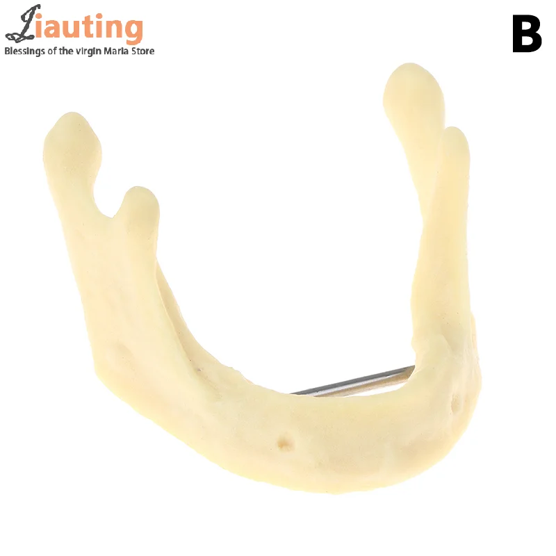 

Модель стоматологического лечения, анатомия десен, десна, модель ткани нижней части, стоматолог, обучение, демонстрационная модель зубов, стоматологическая лаборатория