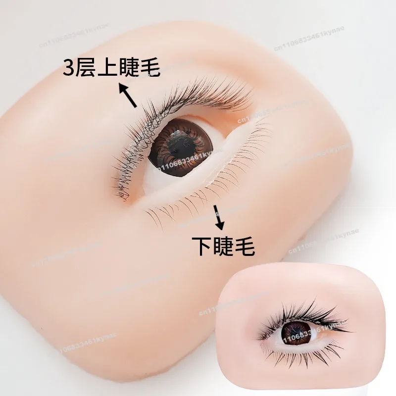 For Three/double Eyelash Practice Model Head Eyelash Model 5D Simulation False Eyelash Module