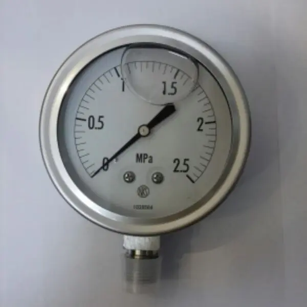 2025 Nagano Meter N…