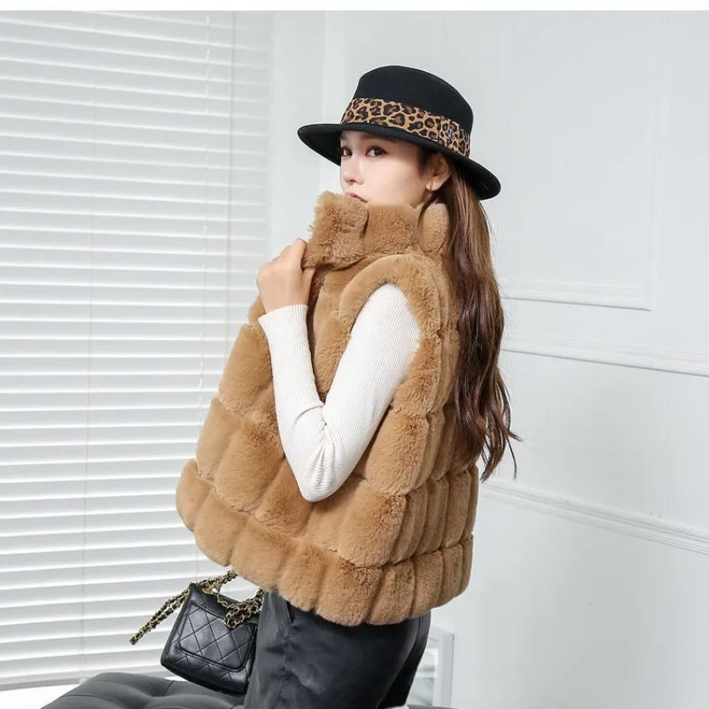 

Women's Loose Imitation Fur Vest, Temperament, Socialite, Short Style, Rex Rabbit Fur Coats, Korean Version, Autumn and Winter